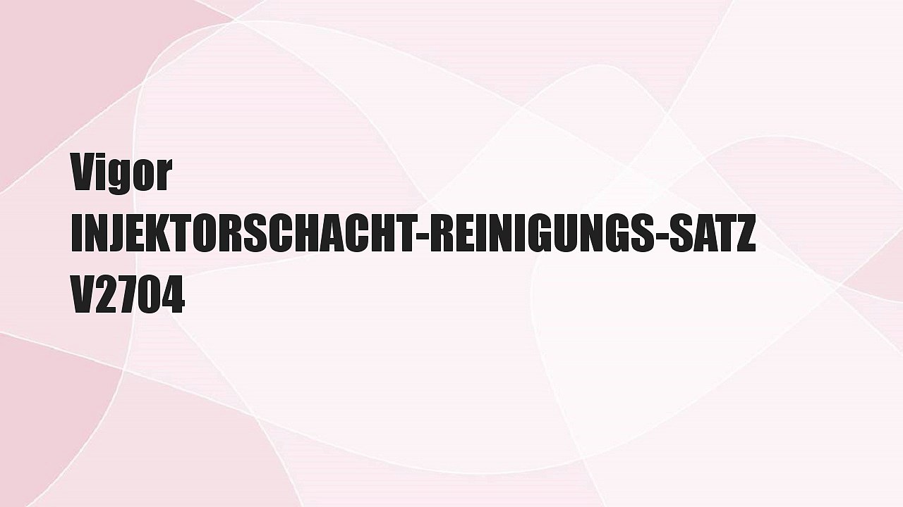 Vigor INJEKTORSCHACHT-REINIGUNGS-SATZ V2704