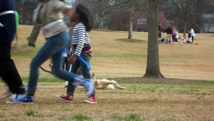 Ce chien paresseux fait tout pour ne pas quitter le parc
