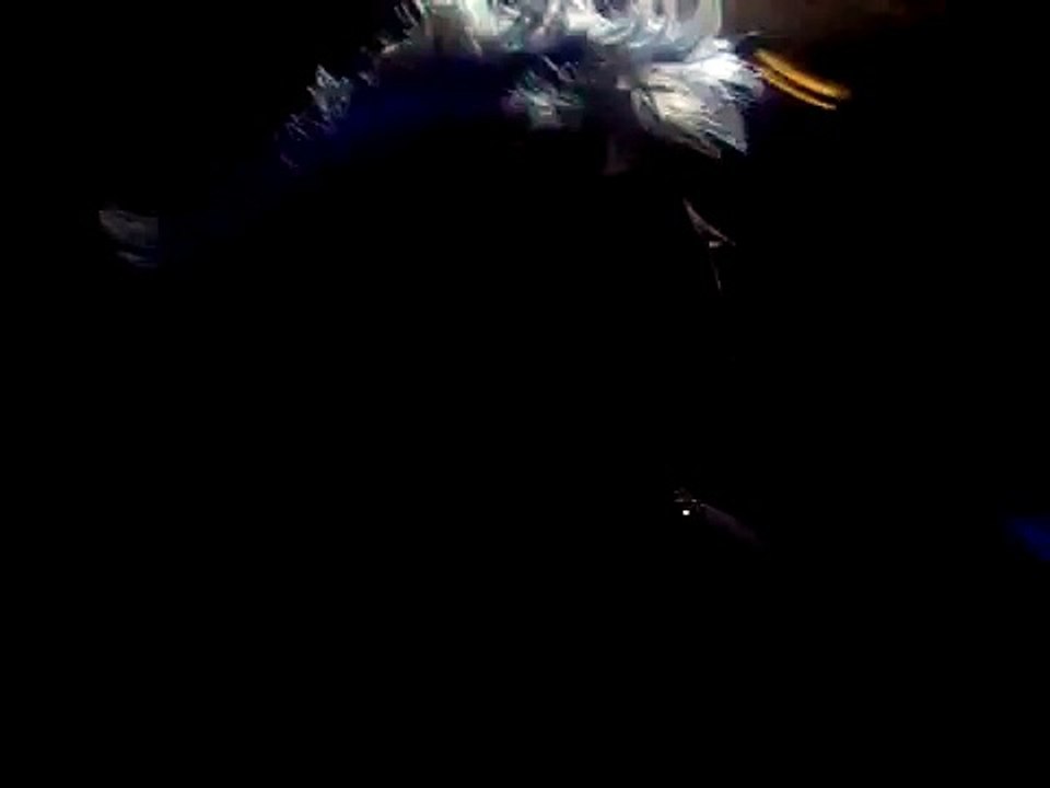 brandy dancing