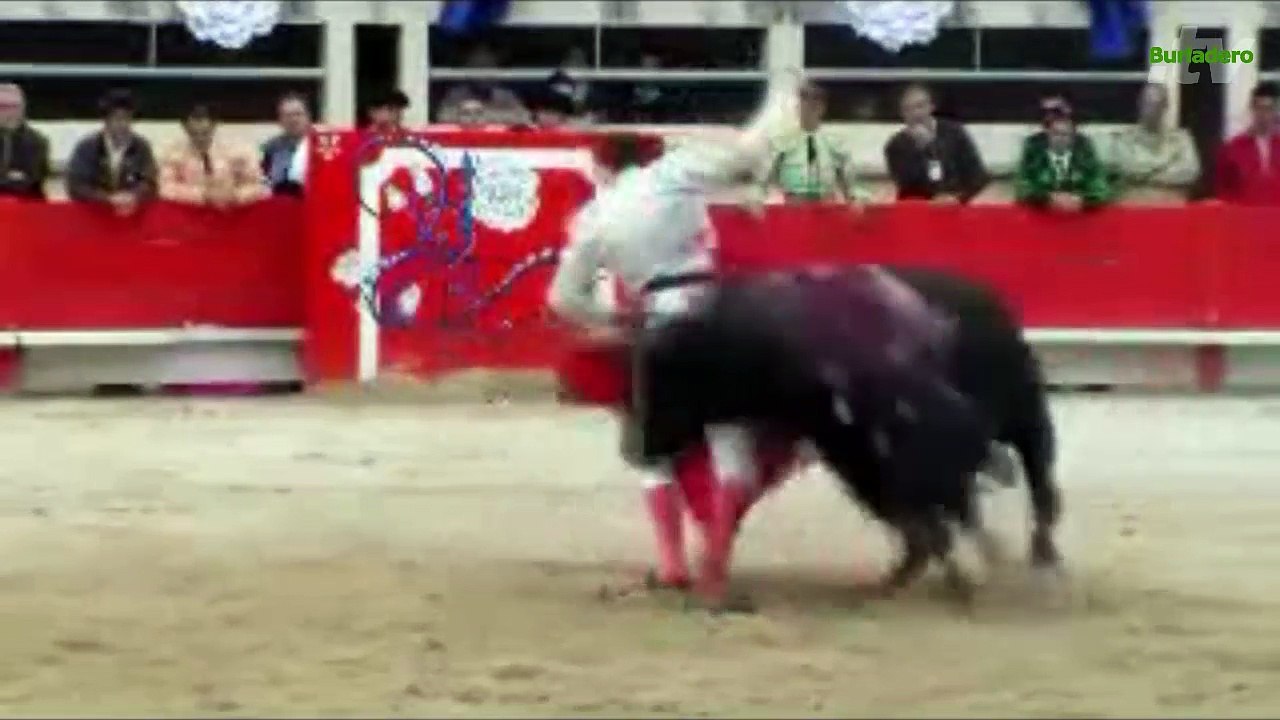 Saint Martin de Crau 25 abr 2015