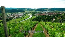 『ゲンゲンバッハのワイン』 ペーターと行く!!!南ドイツゆる旅ビデオブロク第2話 