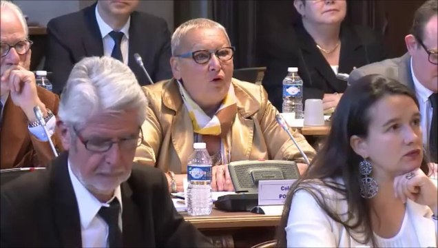 Colette POPARD. Ouverture de la discussion générale. 24 avril 2015