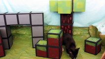 Minecraft in Real Life - Minecraft Kitten in Real Life!!!