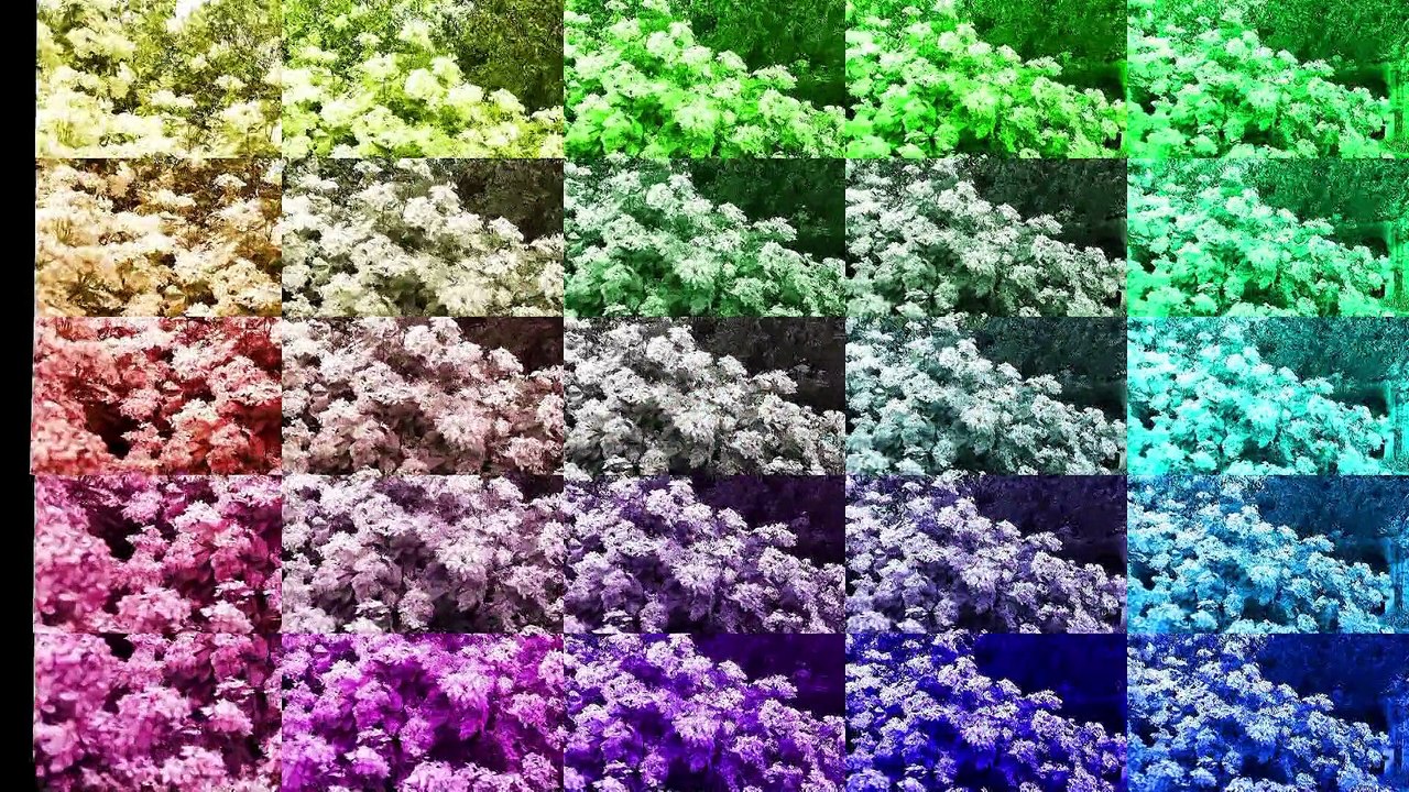 Printemps