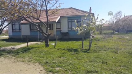 Yaralı Geyik İlçe Merkezine İndi