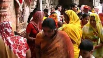Indien - Rajasthan - Die Heiligen Ratten im Karni Mata Tempel - Deshnoke