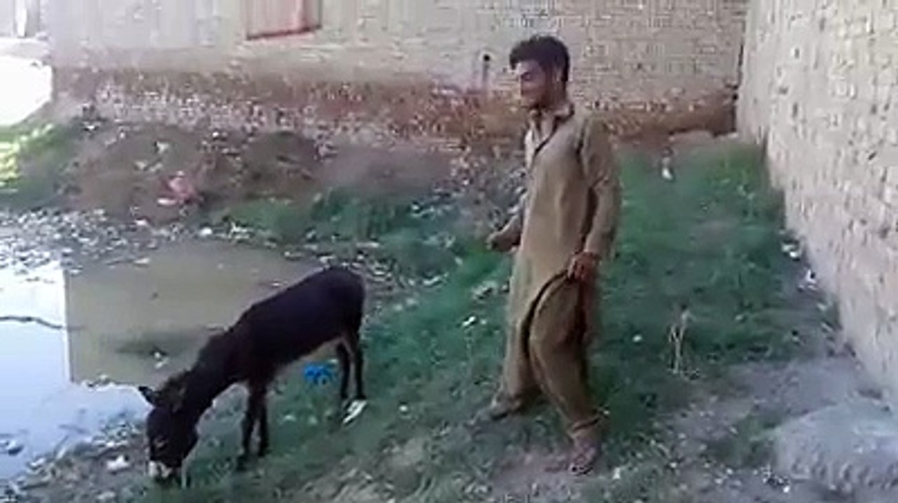 indian funny dilog