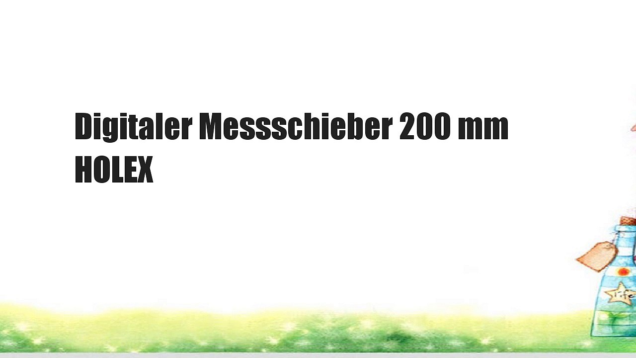 Digitaler Messschieber 200 mm HOLEX