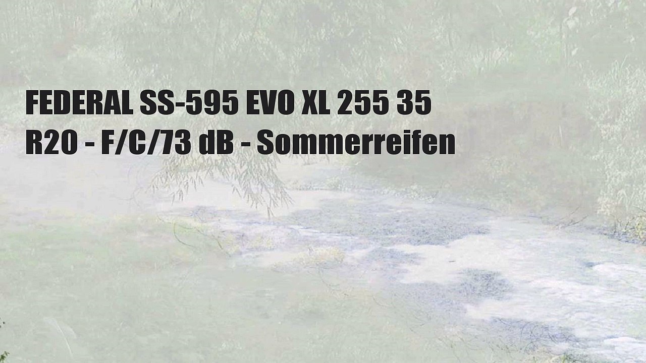 FEDERAL SS-595 EVO XL 255 35 R20 - F/C/73 dB - Sommerreifen