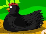 Higgeldy,Piggeldy-rhymes-english rhymes-poems- nursery rhymes for play school-my black hen