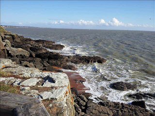 i just called to say i love you