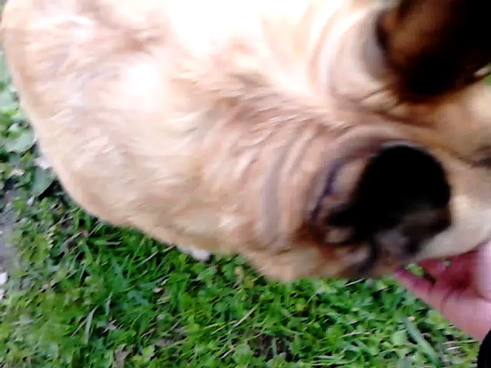 MOV_0038.mp4