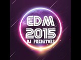 EDM 2015 - DJ PREDATORS