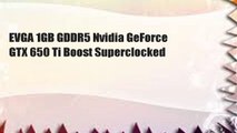 EVGA 1GB GDDR5 Nvidia GeForce GTX 650 Ti Boost Superclocked