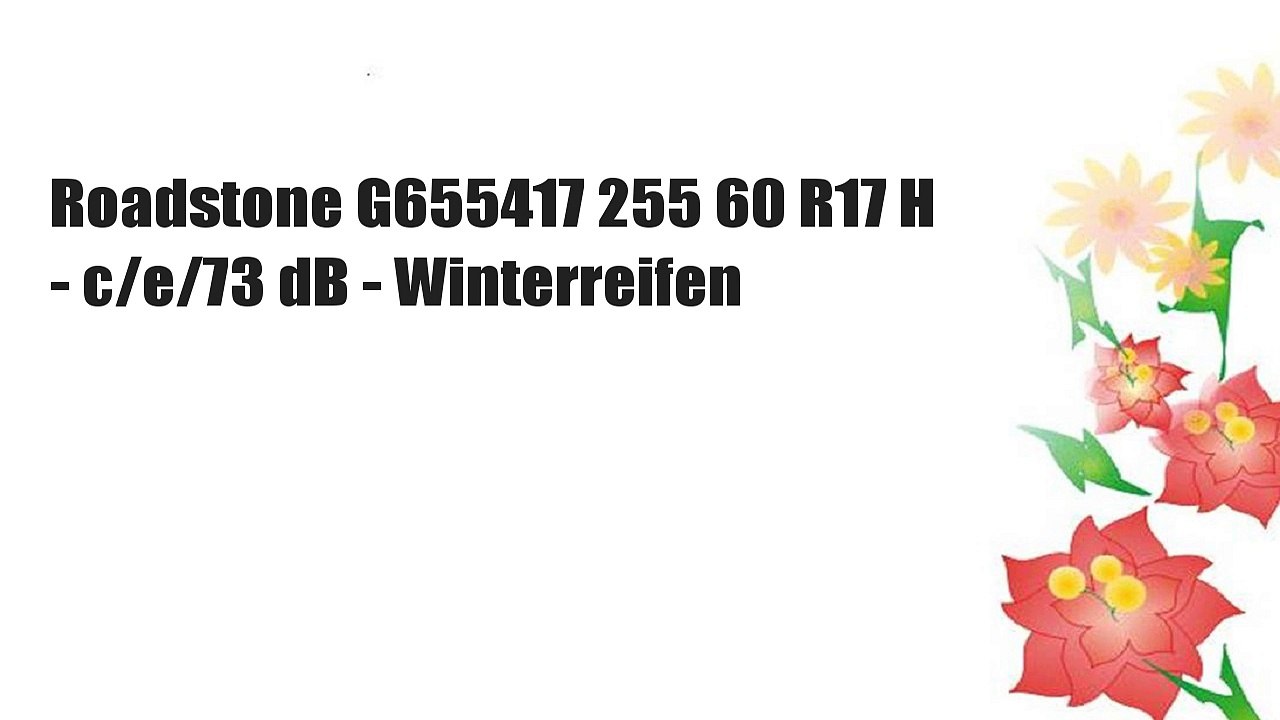 Roadstone G655417 255 60 R17 H - c/e/73 dB - Winterreifen