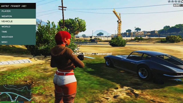 GTA V simple native trainer