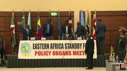 Sudan's Bashir calls country's general elections a success