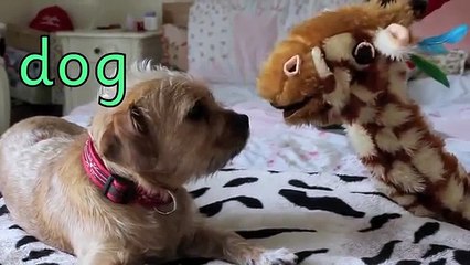 Geraldine the Giraffe learns the /d/ sound