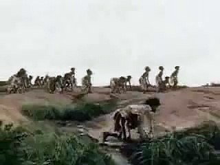 Homo Sapiens Engineered Species