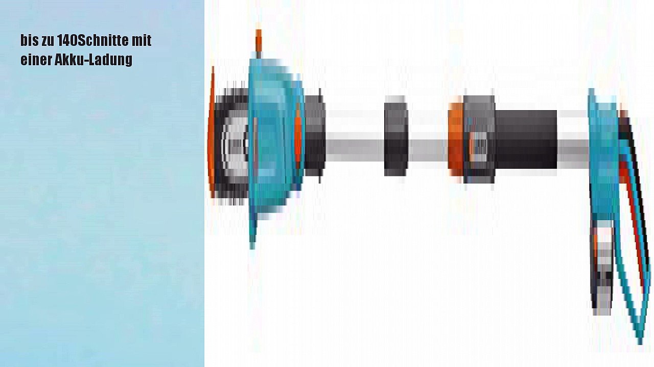 Gardena Hochentaster Accu TCS Li-18/20, 08866-20