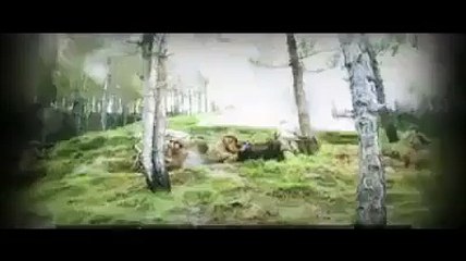 شہادت کيا چيز ہے کیوں خدا کو یہ اتنی پسند ہے