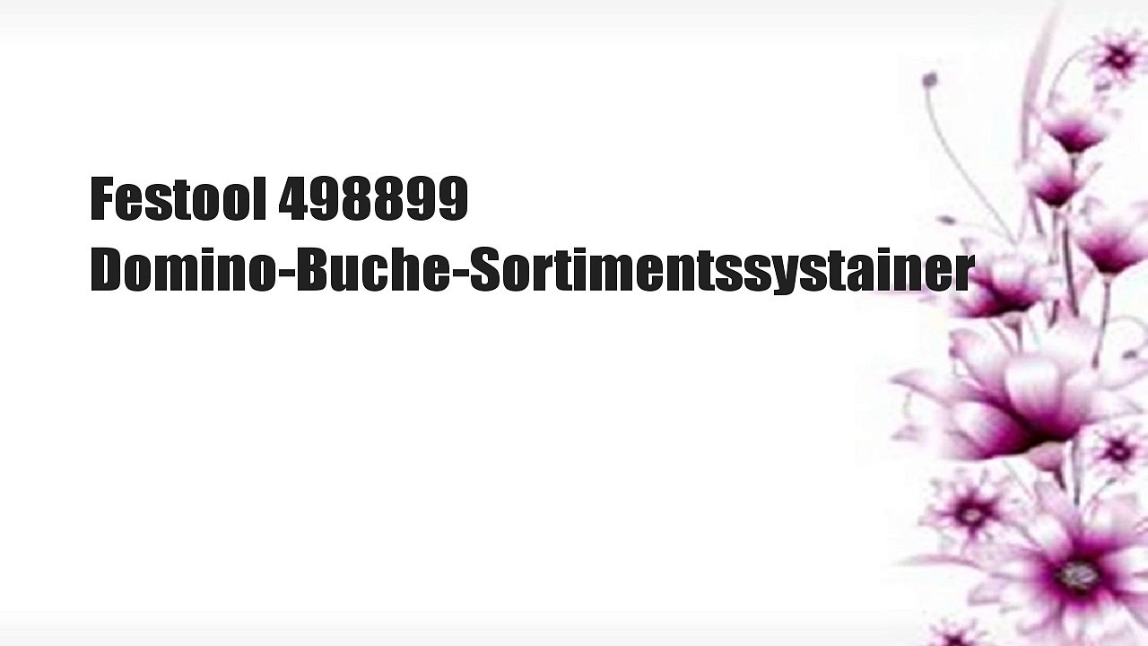 Festool 498899 Domino-Buche-Sortimentssystainer