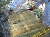 Learning Top Bar Hive Beekeeping - Comb Managmenet 2 of 2