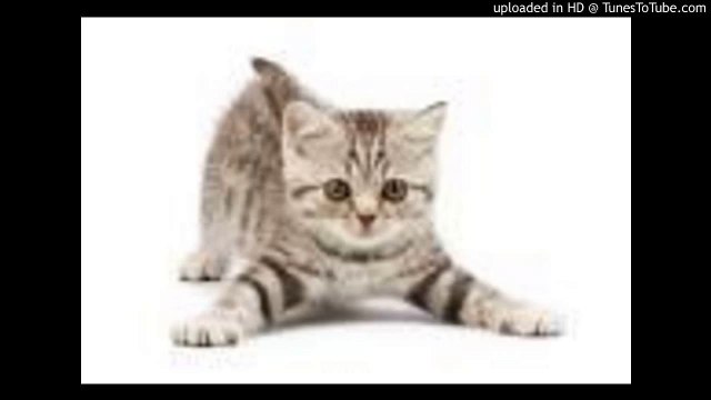 テネシー・ワルツ/The Tennessee Waltz/Redd Stewart/Pee Wee King/ピアノ 高橋丈太郎