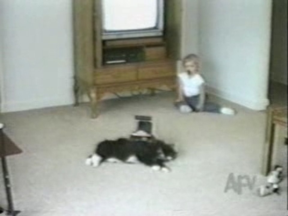 Children & Animals