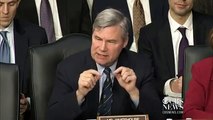 GUNS: Sen. Sheldon Whitehouse: So What You're Saying is you are full of crap? (January 30, 2013)