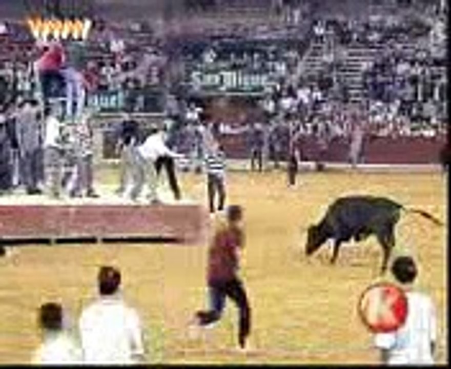 BULL FIGHT