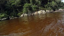 Rio Puruba, Natureza Selvagem, Rio Quiririm, Ubatuba, SP, Brasil, Marcelo Ambrogi, 24 de abril de 2015, (6)