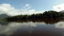 Rio Puruba, Natureza Selvagem, Rio Quiririm, Ubatuba, SP, Brasil, Marcelo Ambrogi, 24 de abril de 2015, (33)