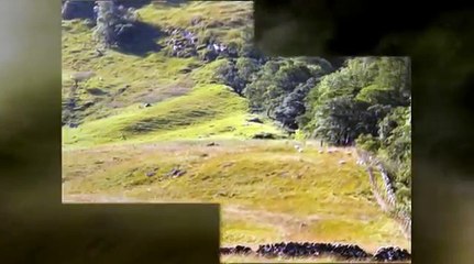 Jan Garbarek - In Praise of  Dreams