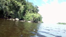 Rio Puruba, Natureza Selvagem, Rio Quiririm, Ubatuba, SP, Brasil, Marcelo Ambrogi, 24 de abril de 2015, (41)