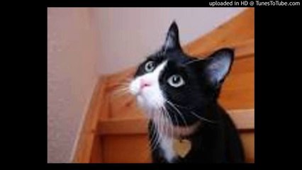 真赤なスカーフ/宇宙戦艦ヤマト/Space Battleship Yamato/Star Blazers/ささきいさお/ピアノ 高橋丈太郎