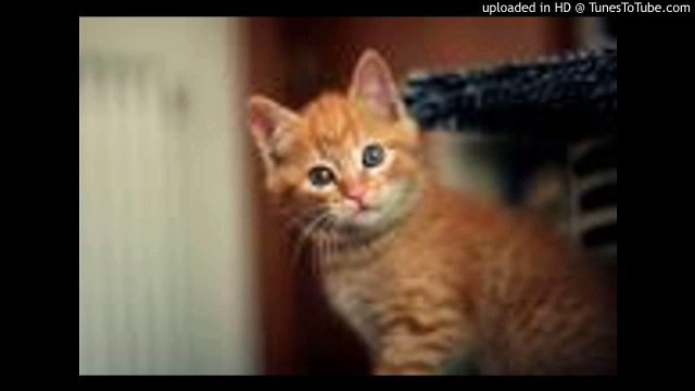 人生のメリーゴーランド/Merry Go Round of Life/Howl s Moving Castle/ハウルの動く城/ピアノ 高橋丈太郎