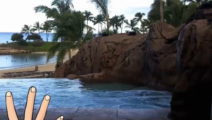 24 Hour Emergency Dentist Houston Texas