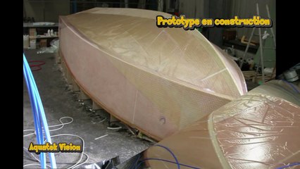 Bateau à moteur rapide et léger Seawolf