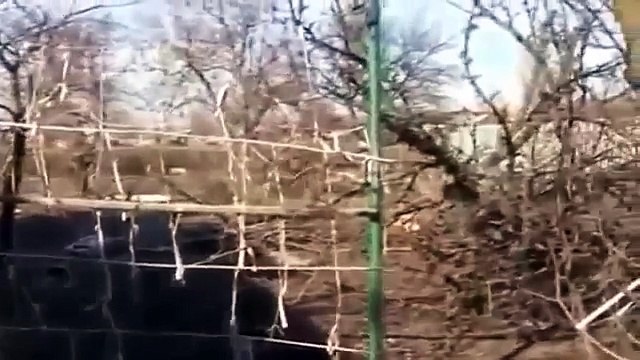 04/22/2014 La guerra en Ucrania, Noticias Fights Rusia y Ucrania 22.04.2015