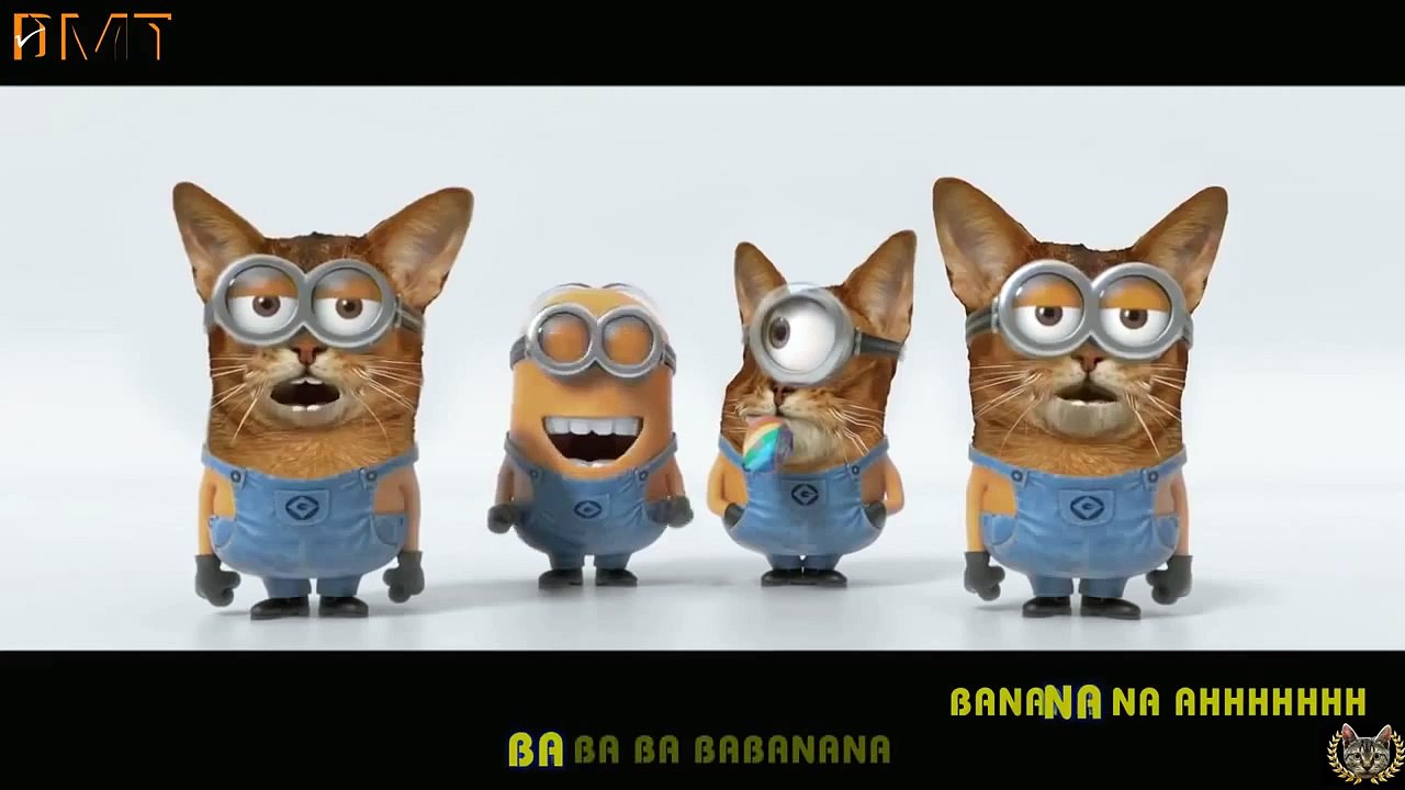 Engsub Despicable Me 2   Minions Banana Song Cats Version