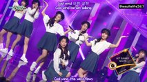 Oh My Girl - Hot Summer Nights & Cupid [Music Bank] (15.04.24) {Eng Sub, Fanchant}