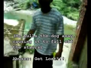 I confront man Beating his Dog.