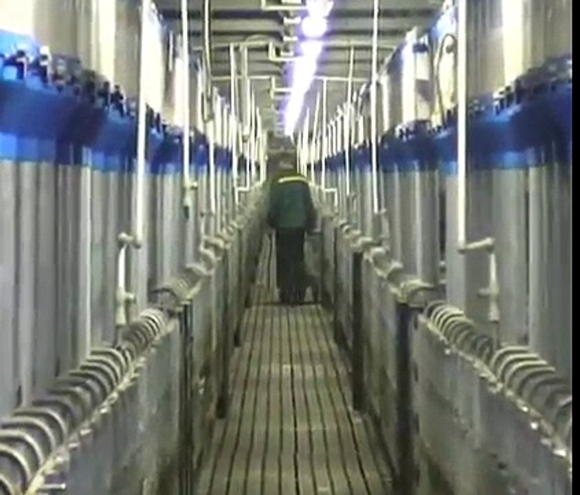 vietnam trang trại chăn nuôi lợn.  . CAVENCO. GRANJA CERDOS. PIG FARM. PORCINO