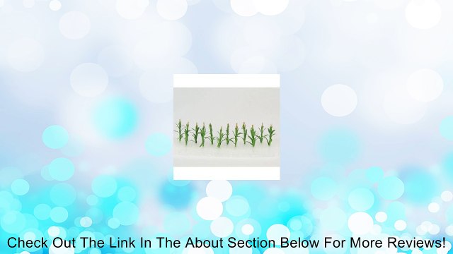 Simi Creative Products WS00306 Architectural Model Corn Stalks 12-Pack Review