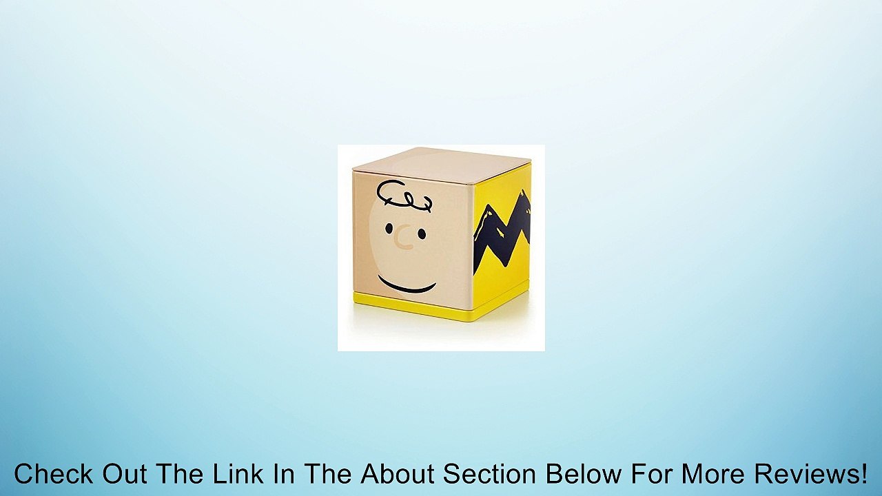 Hallmark PAJ1134 Charlie Brown CUBEEZ Container Review