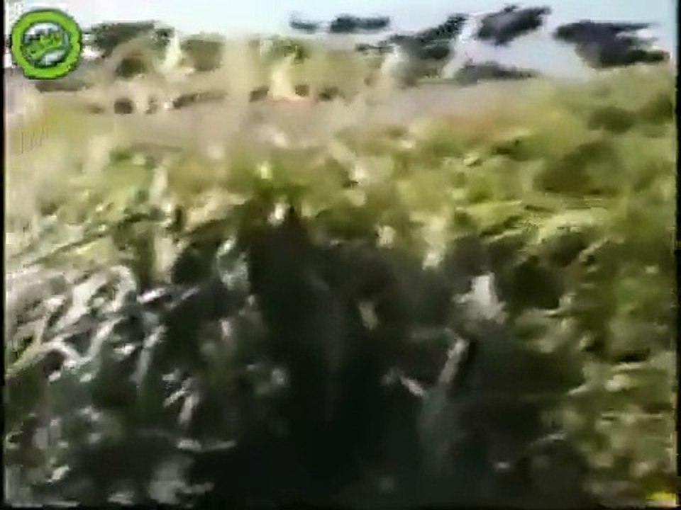 Extraño Animal que explota con Coca-Cola en Japón (360p)