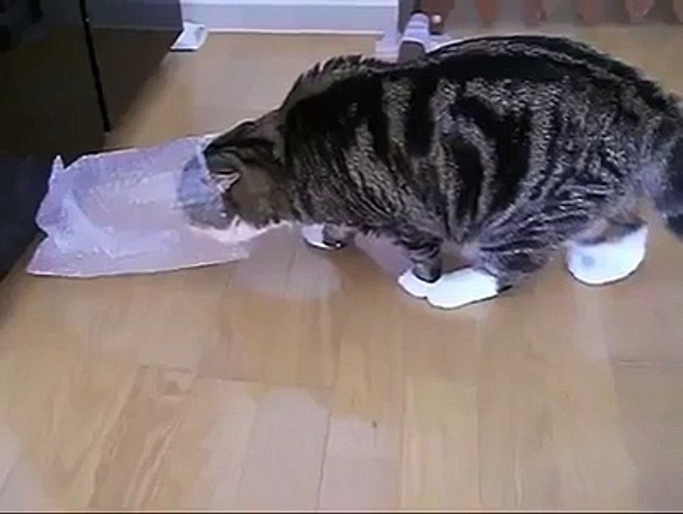 wow