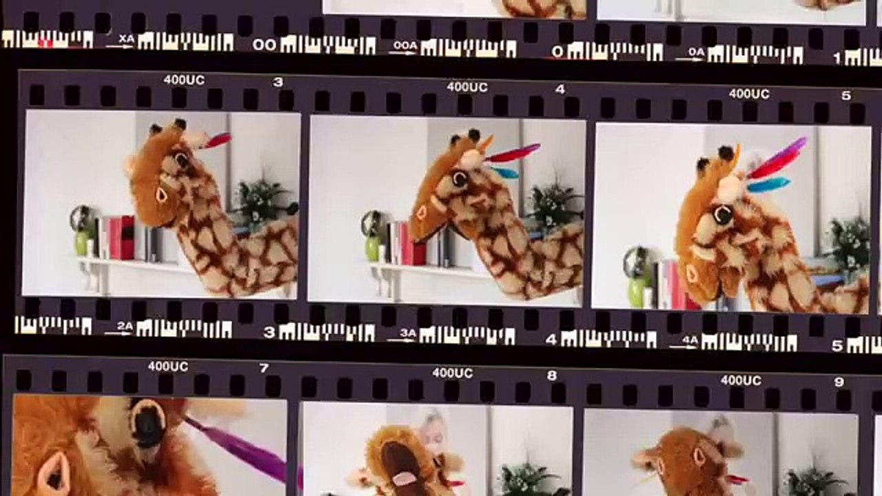 Geraldine the Giraffe's Tricky Words 2