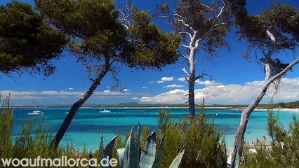 Naturstrand Es Trenc Colonia Sant Jordi Mallorca Strand Beach Lumix GH-1